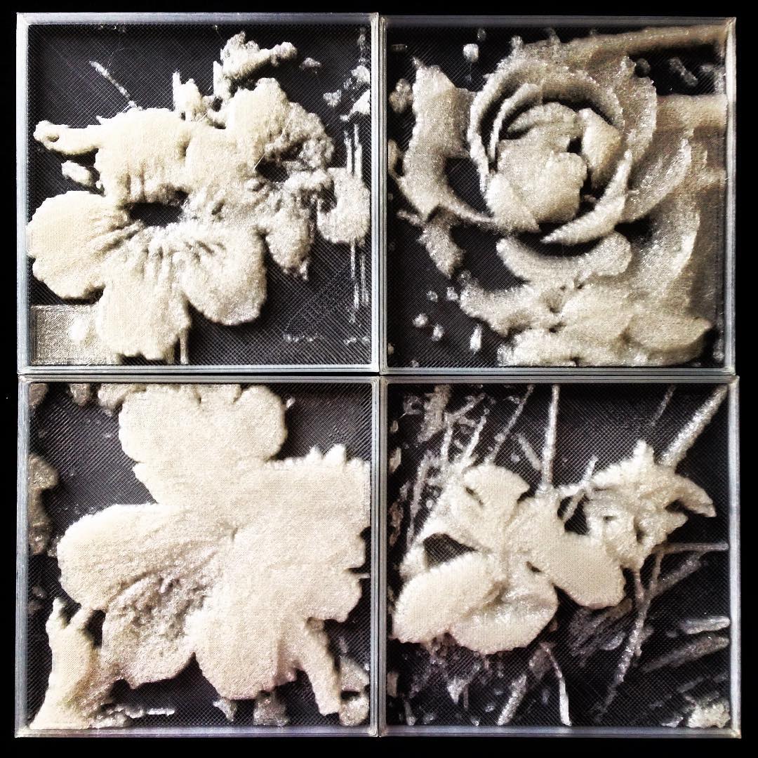 3D printed clear lithophanes of flowers