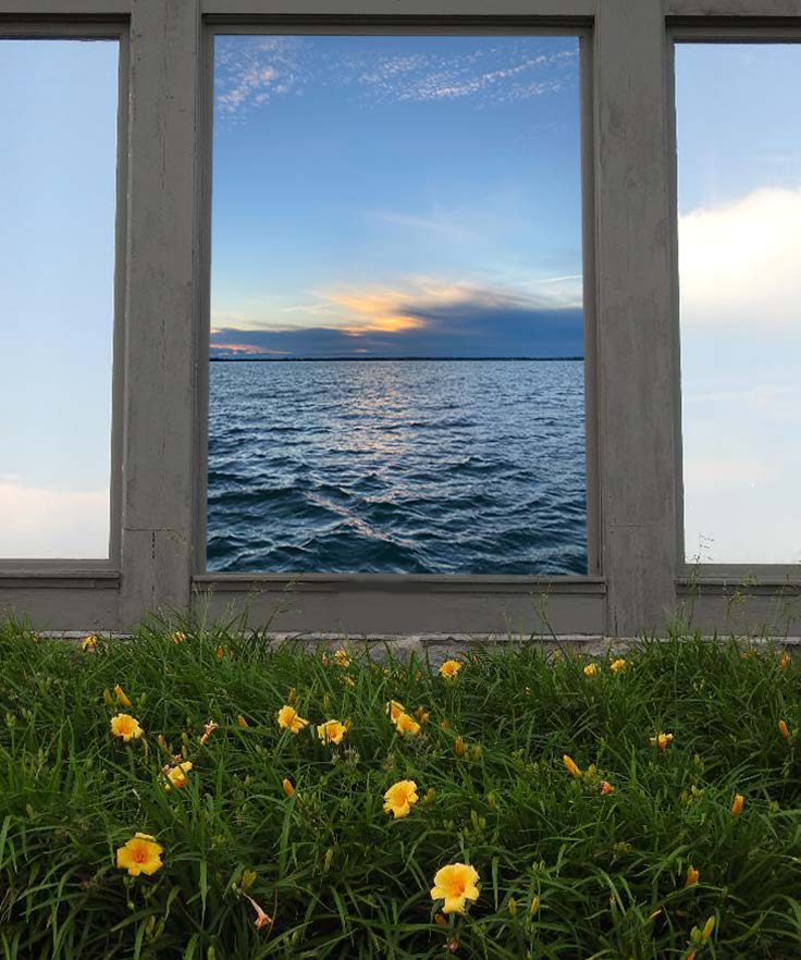 photomontage of ocean view inside window by grass and flowers